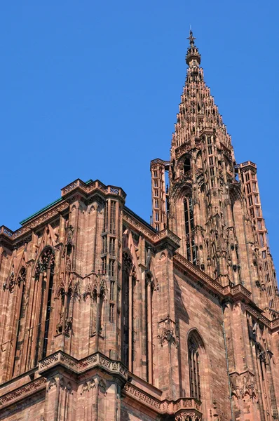 Frankrike, katedralen i strasbourg i alsace — Stockfoto