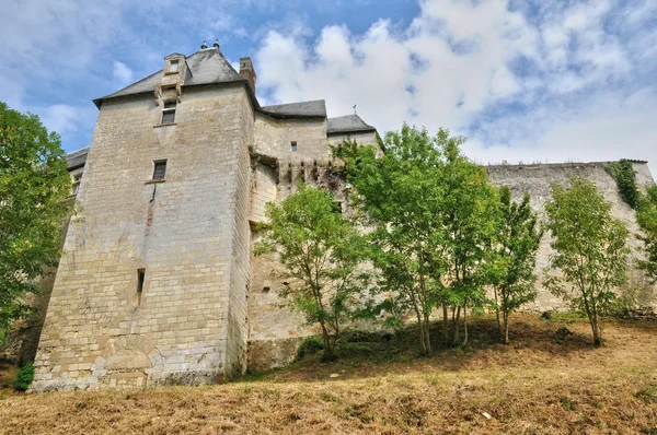 Κάστρο της πόλη: vayres στο gironde — Φωτογραφία Αρχείου