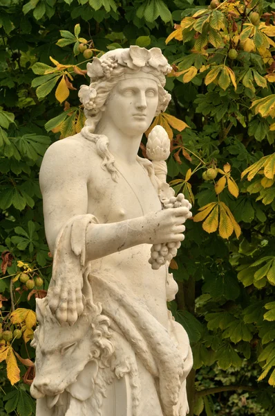 França, estátua de mármore no parque do Palácio de Versalhes — Fotografia de Stock