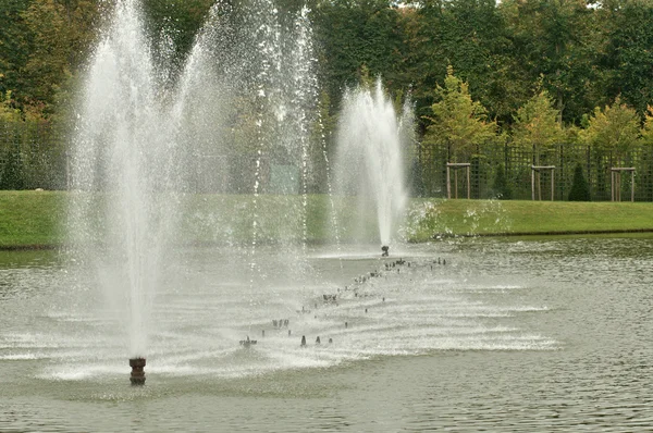 Franța, fântână în parcul Palatului Versailles — Fotografie, imagine de stoc
