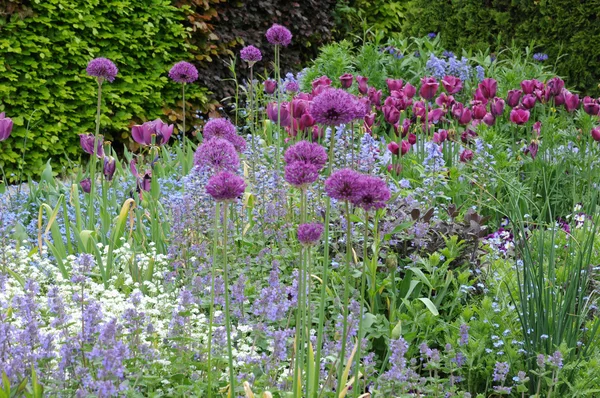 Francia, pittoresco villaggio di Giverny in Normandia — Foto Stock