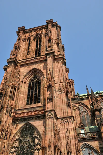 Fransa, alsace bir Strazburg Katedrali'ne — Stok fotoğraf