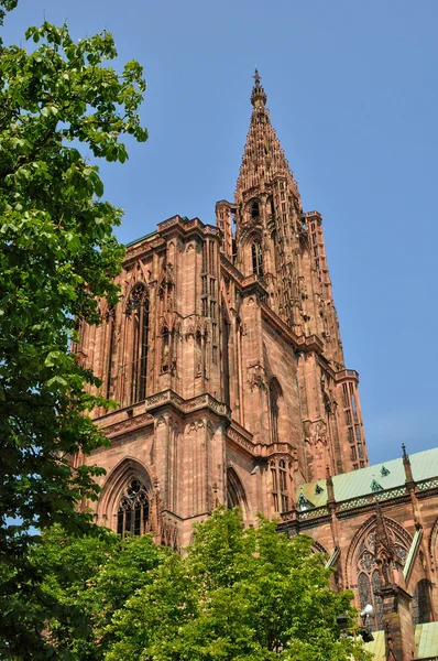 Francie, katedrála ve Štrasburku v Alsasku — Stock fotografie
