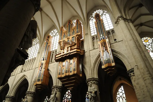 Bélgica, pintoresca catedral de Bruselas — Foto de Stock