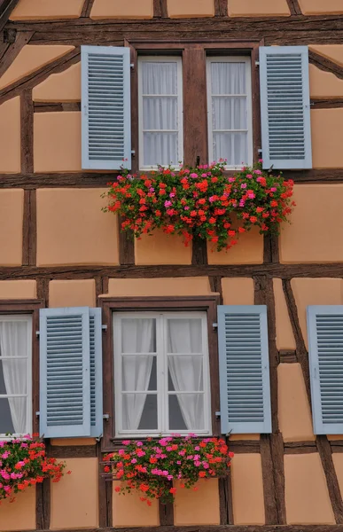 Francja, malowniczego starego domu w eguisheim w Alzacji — Zdjęcie stockowe