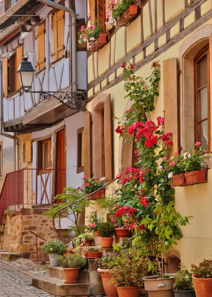 Frankrike, pittoreska gamla hus i eguisheim i alsace — Stockfoto
