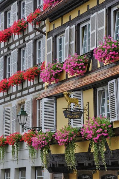 Alsacia, casco antiguo e histórico de Estrasburgo —  Fotos de Stock