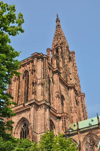 Francia, catedral de Estrasburgo en Alsacia —  Fotos de Stock