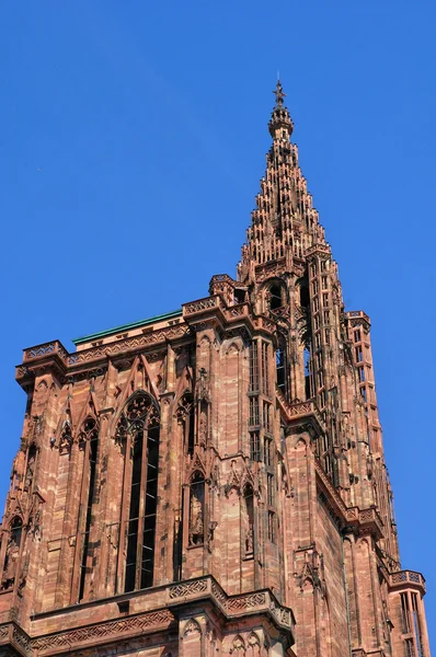 Франция, собор Страсбурга в Эльзасе — стоковое фото