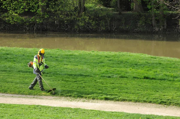 France, a gardener with a strimmer in a park — Stock Photo, Image