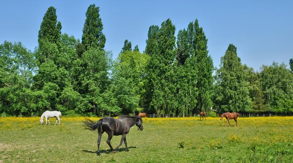 フランス、lainville en アデルの美しい村 — ストック写真