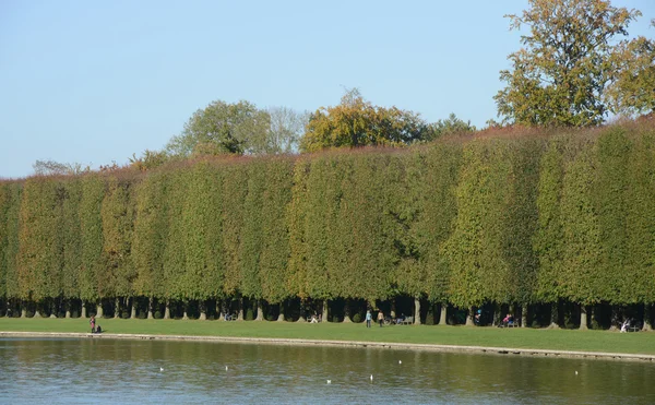 프랑스, 베 르 사 이유 궁전 공원 — 스톡 사진