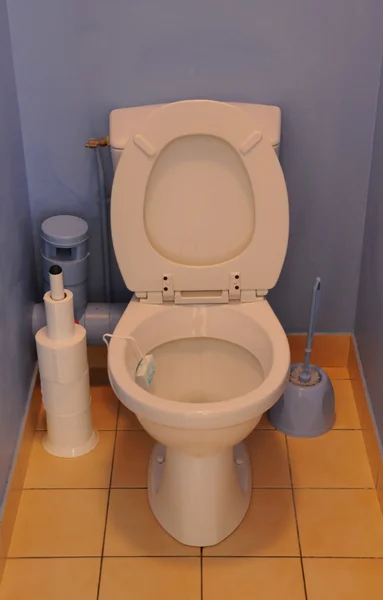 Frankrijk, close-up van toilet — Stockfoto