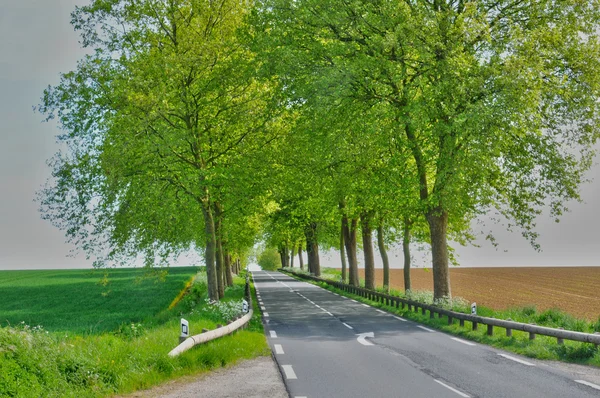 Francie, malebné venkovské silnici v arthies — Stock fotografie