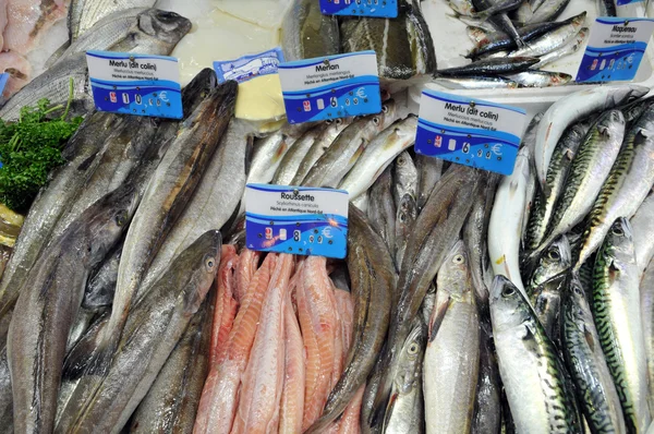 Bretagne, loja de peixe no mercado de Pornichet em Loire Atlantiq — Fotografia de Stock