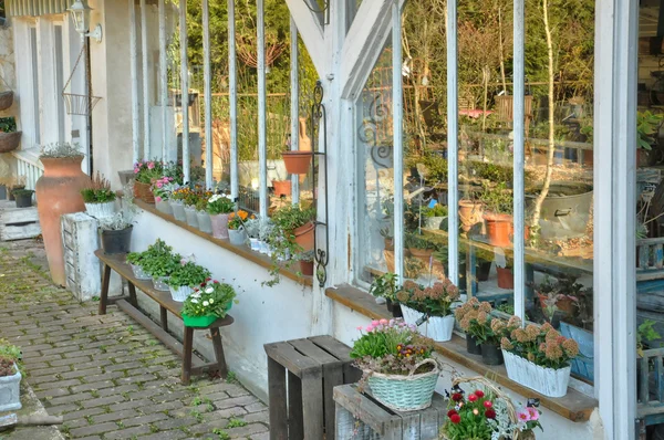 Francia, flores en una tienda en Val d Oise — Foto de Stock