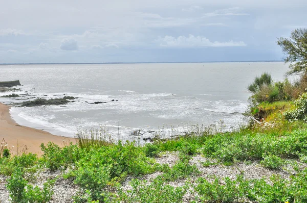 Fransa, saint marc sur mer deki loire-atlantique — Stok fotoğraf