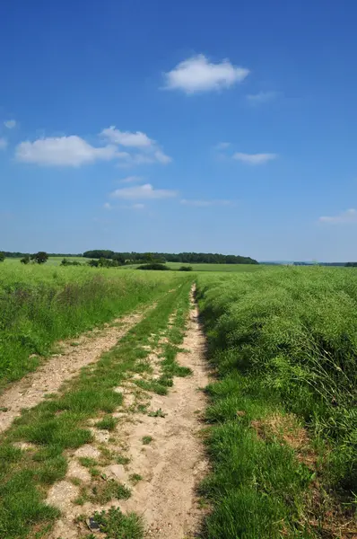 Francia, paesaggio del villaggio di Wy dit Joli — Foto Stock