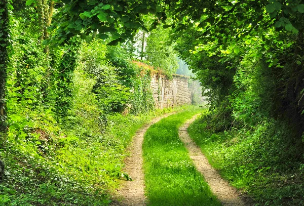 Francia, il pittoresco villaggio di Wy dit Joli Village — Foto Stock