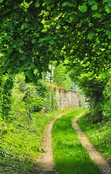 Francia, il pittoresco villaggio di Wy dit Joli Village — Foto Stock