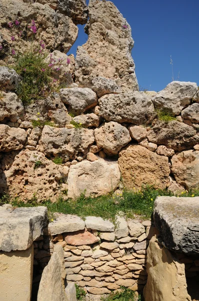 Malta, o pitoresco templo Ggantija em Gozo — Fotografia de Stock