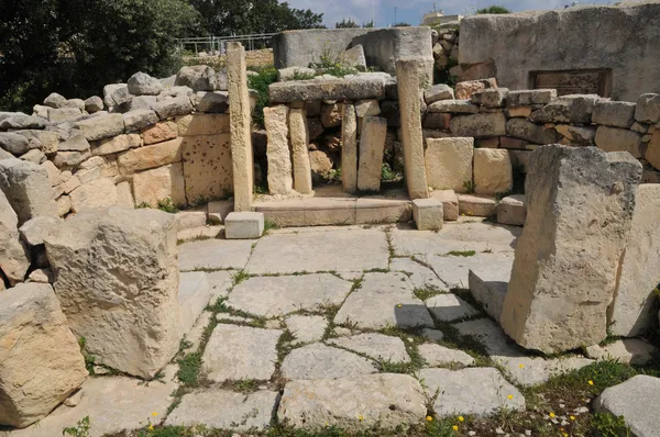 Malta, megalitiska templen i tarxien — Stockfoto