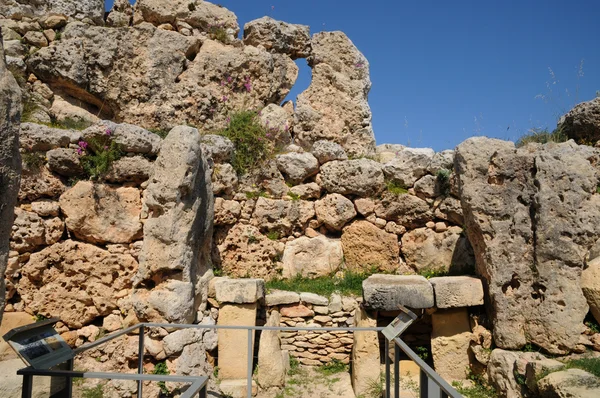 De tempel van de pittoreske ggantija op gozo, Malta — стокове фото