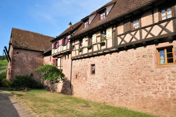 Frankrijk, schilderachtig dorp van riquewihr in Elzas — Stockfoto