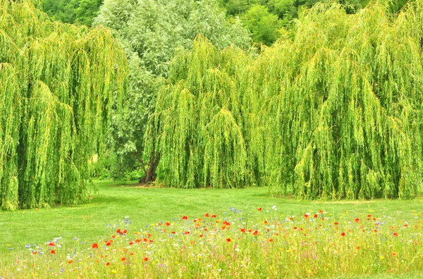 France, the picturesque village of Vetheuil — Stock Photo, Image