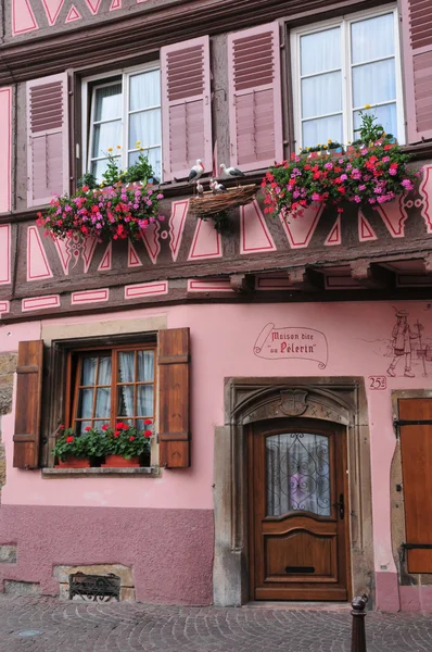 Haut Rhin, a pitoresca cidade de Colmar na Alsácia — Fotografia de Stock