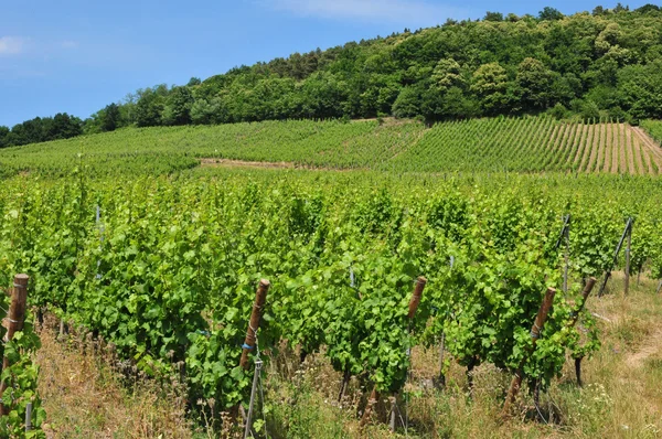 Bas-rhin, malebné vesnici andlau v Alsasku — Stock fotografie