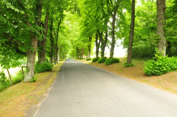 France, le village pittoresque de Fontenay Saint Pere aux Yv — Photo