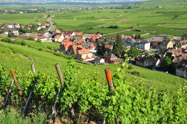 France, picturesque village of Riquewihr in Alsace — Stock Photo, Image