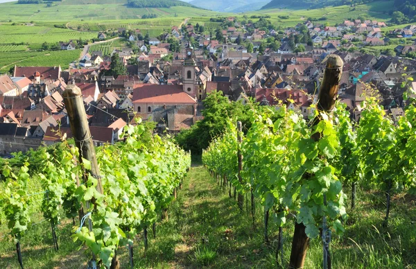 France, picturesque village of Riquewihr in Alsace — Stock Photo, Image