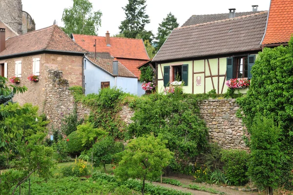 Haut-rhin, kientzheim alsace içinde pitoresk kenti — Stok fotoğraf