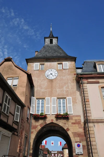 Alsace, la ville pittoresque de Rosheim — Photo