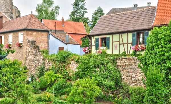 Haut Rhin, a pitoresca cidade de kientzheim na Alsácia — Fotografia de Stock