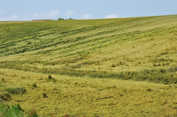 Francja, malowniczej miejscowości vigny — Zdjęcie stockowe