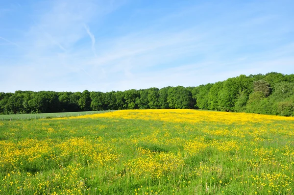 Francia, il pittoresco villaggio di Villers en Arthies — Foto Stock