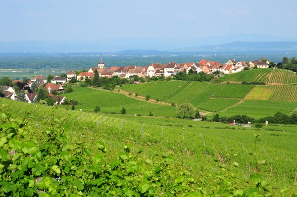 Haut Rhin, la ville pittoresque de Zellenberg en Alsace — Photo