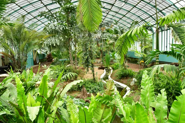 Parigi Francia Luglio 2021 Giardino Delle Serre Auteuil Creato Nel — Foto Stock