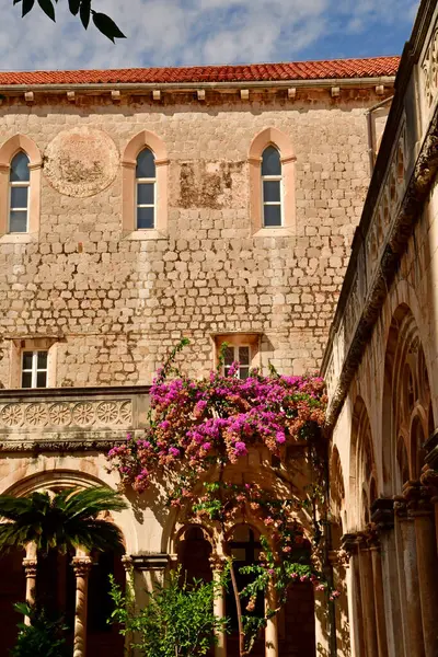 Dubrovnik Croácia Setembro 2021 Pitoresco Museu Mosteiro Dominicano — Fotografia de Stock