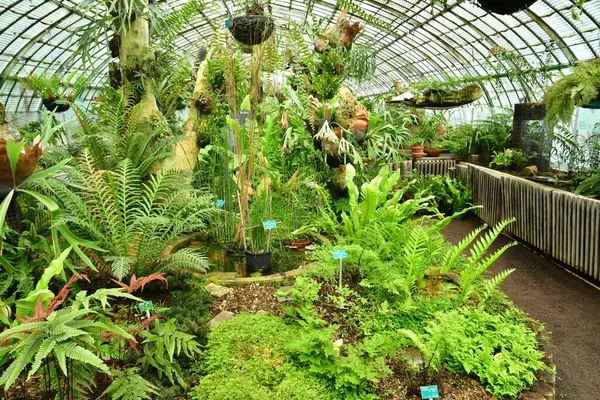 Paris Frankrike Juli 2021 Auteuil Greehouses Trädgård Skapades 1898 — Stockfoto