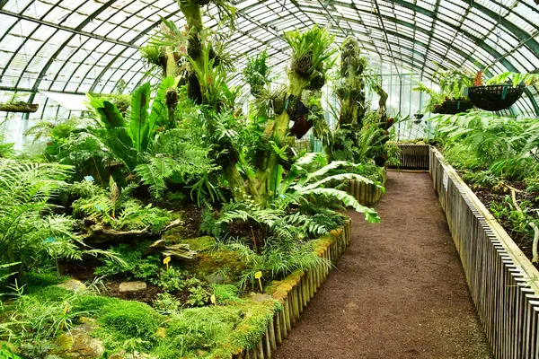 Parigi Francia Luglio 2021 Giardino Delle Serre Auteuil Creato Nel — Foto Stock