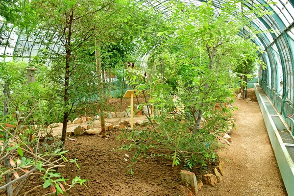 Paříž Francie Červenec 2021 Zahrada Zelené Louce Auteuil Byla Vytvořena — Stock fotografie