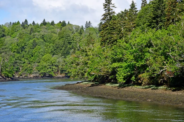 Finistere Frankrijk Mei 2021 Een Prachtige Cruise Tussen Benodet Quimper — Stockfoto