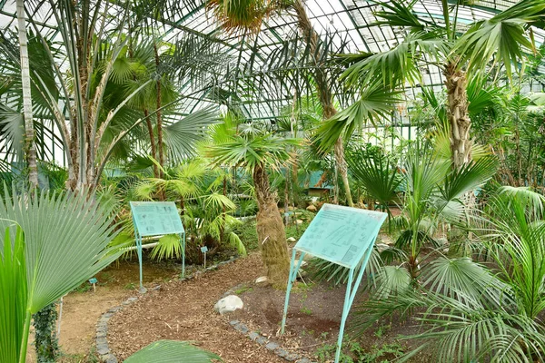 Paris 프랑스 July 2021 Auteuil Greehouse Garden 1898 — 스톡 사진