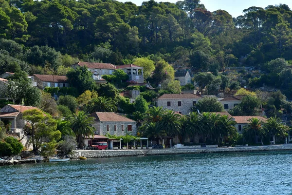 Île Mljet Croatie Septembre 2021 Île Pittoresque Été — Photo