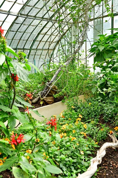 Paris Frankreich Juli 2021 Der Garten Der Greehouses Auteuil Der — Stockfoto