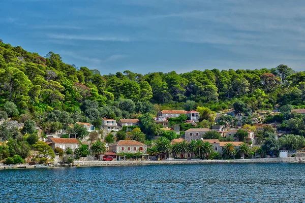 Ostrov Mljet Chorvatsko Září 2021 Malebný Ostrov Létě — Stock fotografie